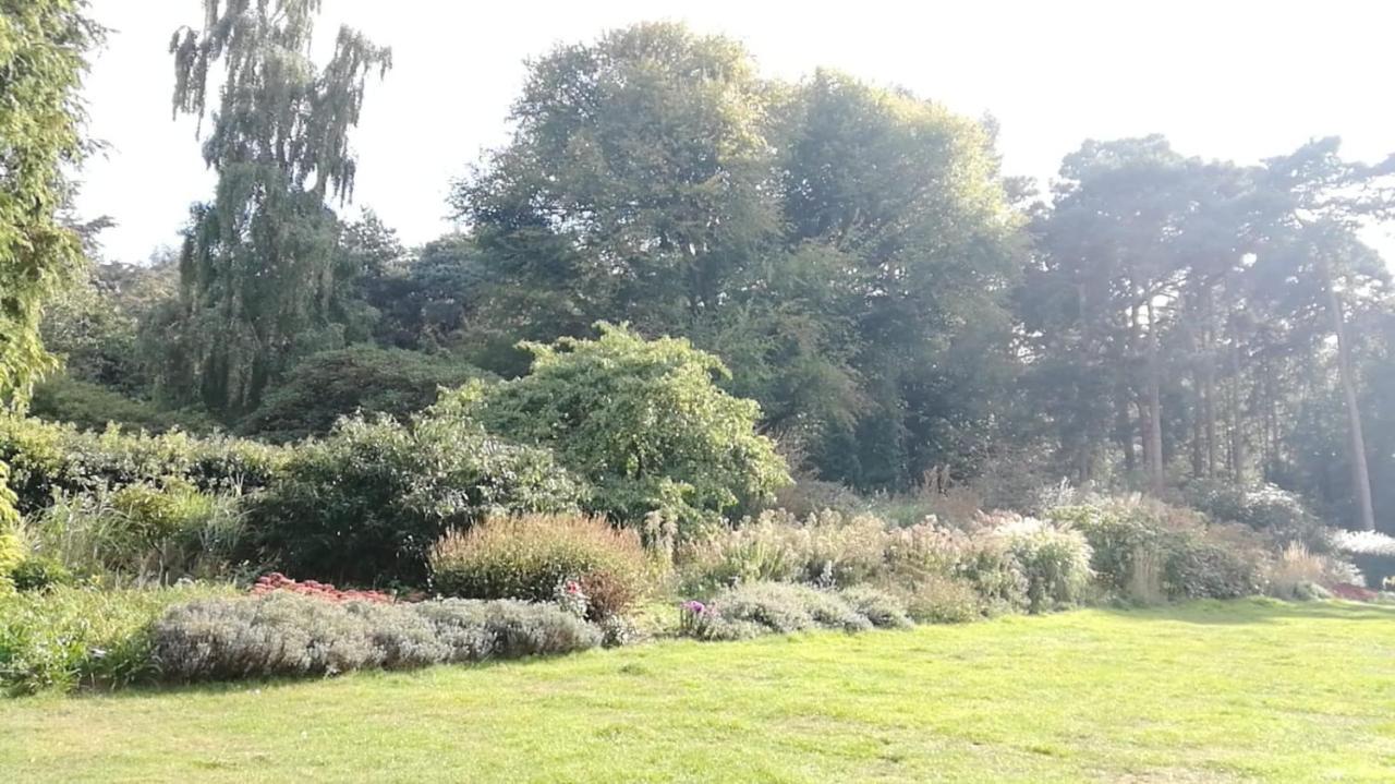 Many Worlds Meet - Eurostar, Wimbledon 30 Mins, Central London, Gatwick 15 Mins - Spacious, Sleeps Up To 16 Plus Cot - Free Wifi, Parking - Next To Lloyd Park, Great For Families, Walkers, Relocators - Ideal For Contractors Croydon Dış mekan fotoğraf